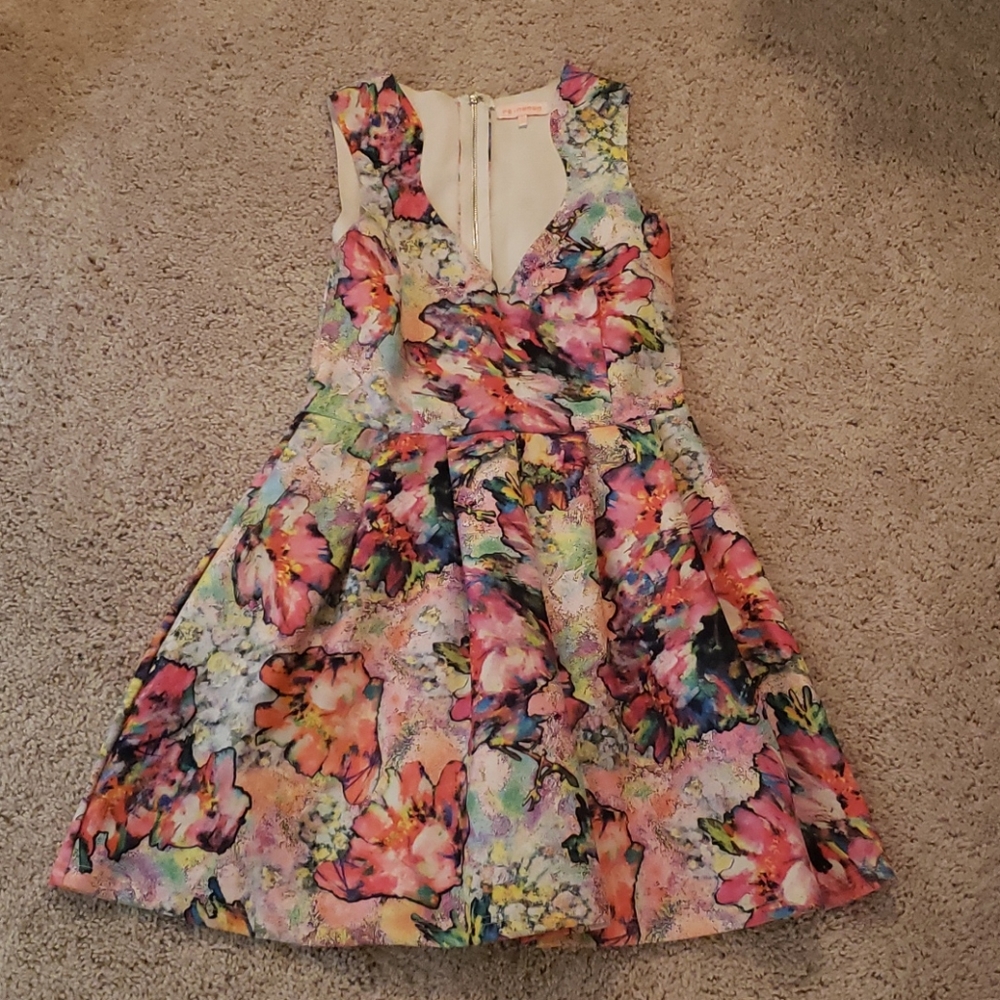 Scuba fit and flair dress